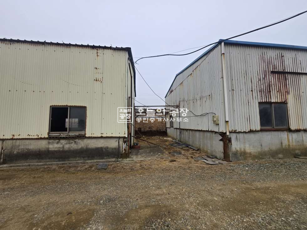 경기 화성만세구 우정읍 원안리 부지419평/건물134평/저렴한구식공장매매/넓은마당 매매 매물번호 10651 사진 14