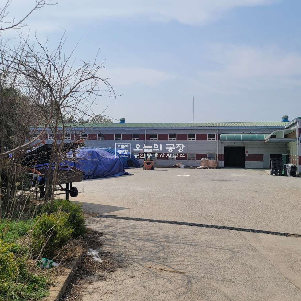 경기 평택시 포승읍 석정리 부지2543 평 / 건물483 / 단독마당 월세 매물번호 10667 사진 6