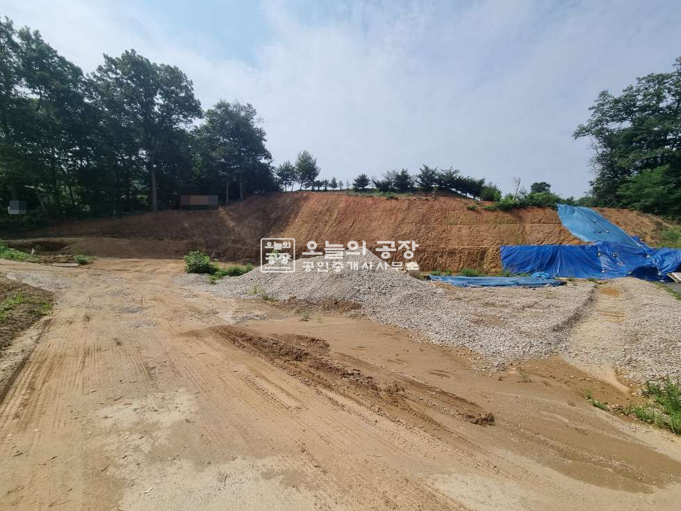 경기 화성만세구 향남읍 부지500평/도로41평/ 향남공장부지매매 매매 매물번호 10019 사진 3